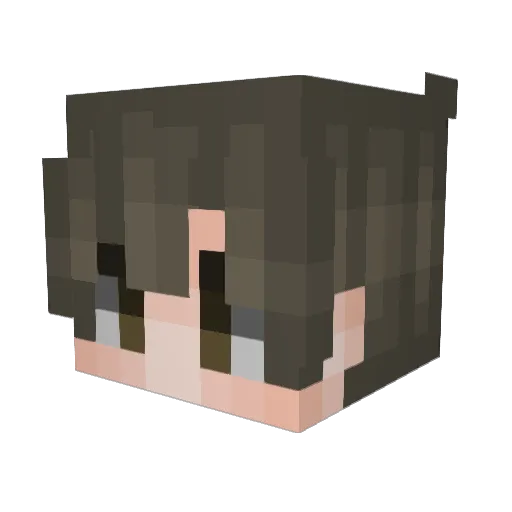 x_oa Minecraft avatar head, 3D render