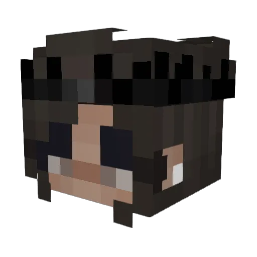 x_pinecone Minecraft avatar head, 3D render