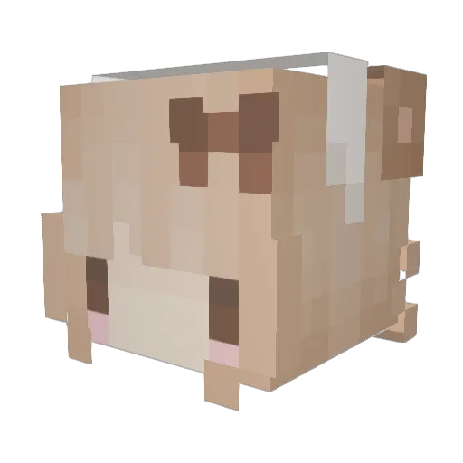 x_r1lyy Minecraft avatar head, 3D render