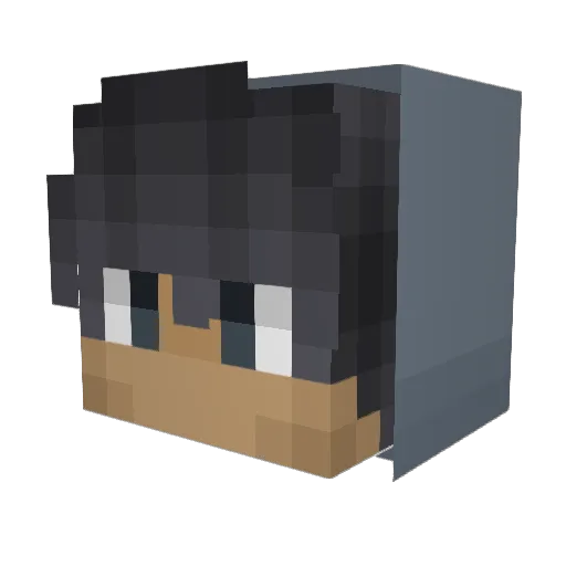 x_ray_cat Minecraft avatar head, 3D render