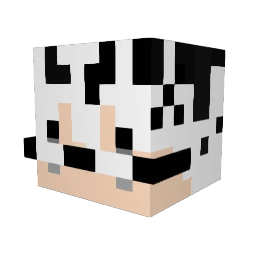 x_sall Minecraft avatar head, 3D render