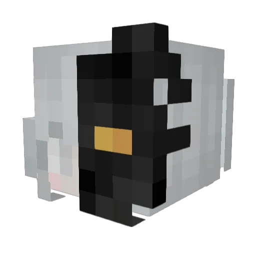 x_selfdetach_x Minecraft avatar head, 3D render