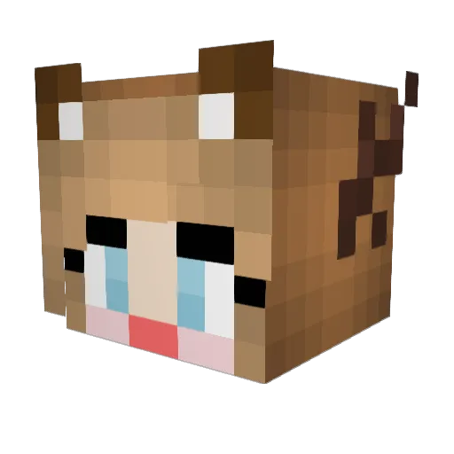x_sofie_1 Minecraft avatar head, 3D render