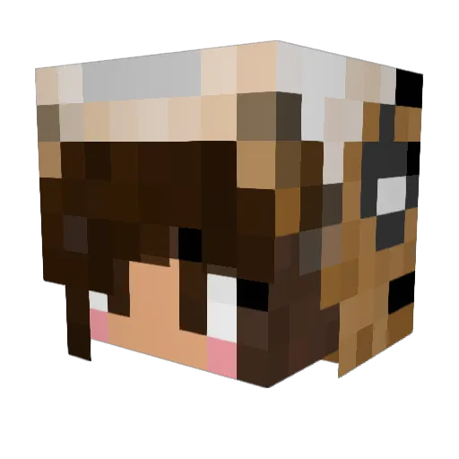 x_tigerle_x Minecraft avatar head, 3D render