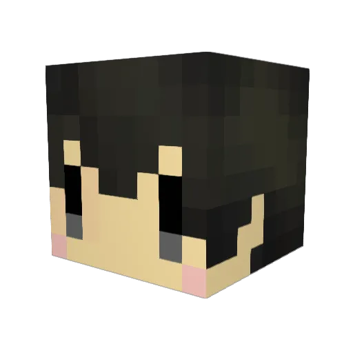 x_xAmyx_x Minecraft avatar head, 3D render