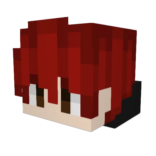 xaXaNDeR Minecraft avatar head, 3D render