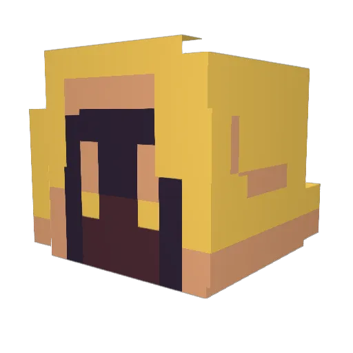xa_ Minecraft avatar head, 3D render