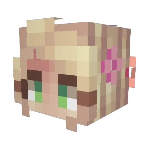 xaab Minecraft avatar head, 3D render