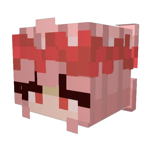 xaddere Minecraft avatar head, 3D render