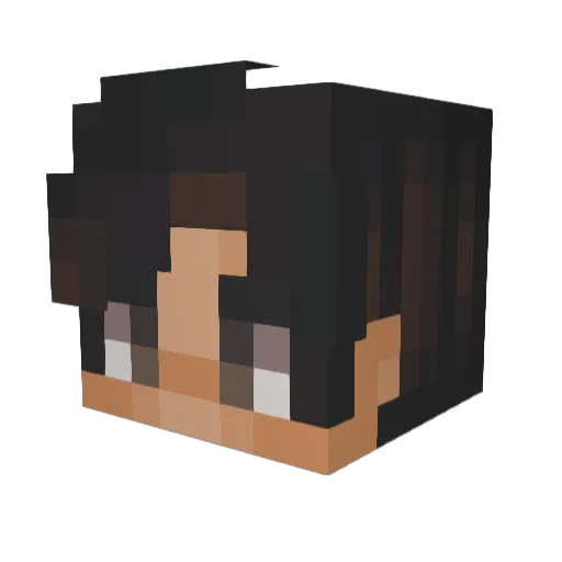 xae1 Minecraft avatar head, 3D render