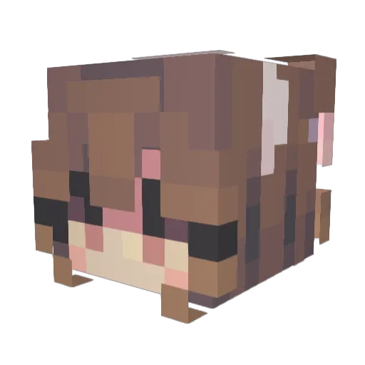 xagig Minecraft avatar head, 3D render
