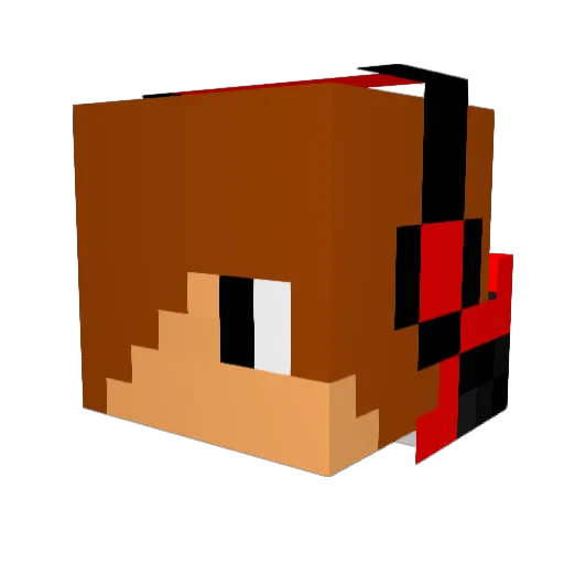 xain555 Minecraft avatar head, 3D render