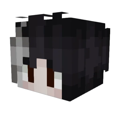 xain_yv Minecraft avatar head, 3D render