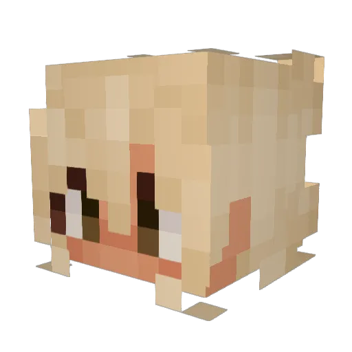 xaistolis Minecraft avatar head, 3D render