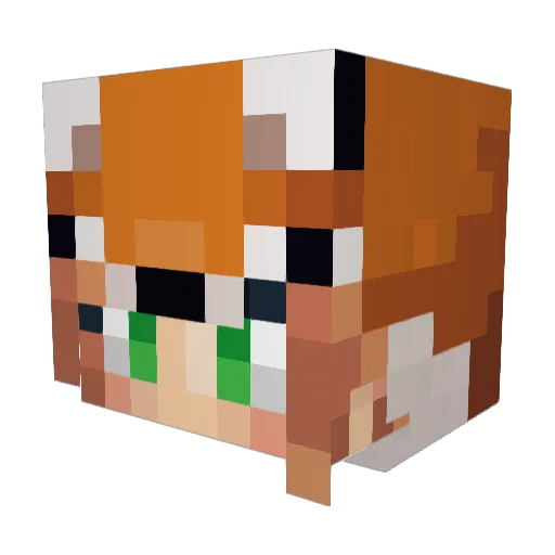 xalem200 Minecraft avatar head, 3D render