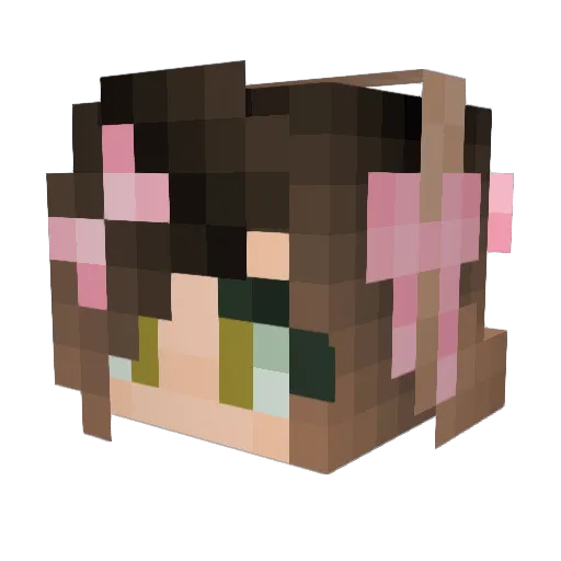 xalgue Minecraft avatar head, 3D render