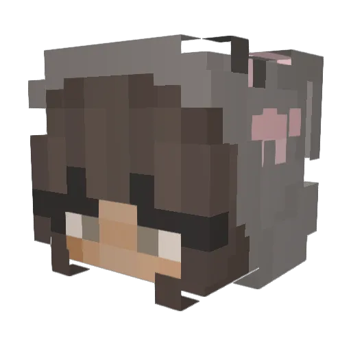 xalinka_ Minecraft avatar head, 3D render