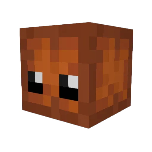 xalixilax Minecraft avatar head, 3D render