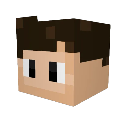 xamo44 Minecraft avatar head, 3D render