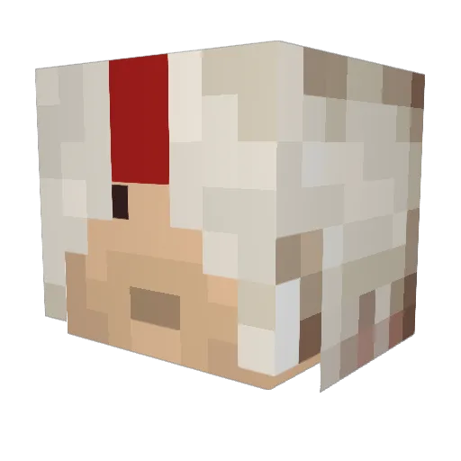 xan111 Minecraft avatar head, 3D render