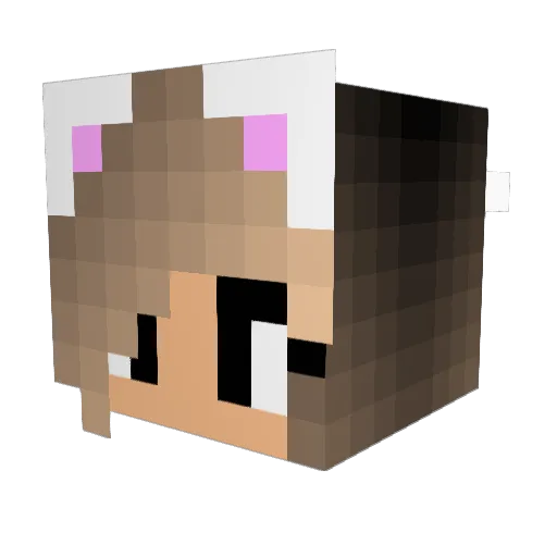 xanaxbarb1e Minecraft avatar head, 3D render