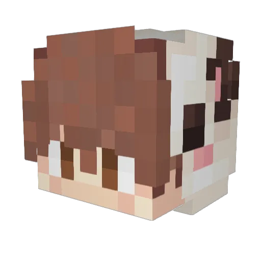 xandapnda Minecraft avatar head, 3D render