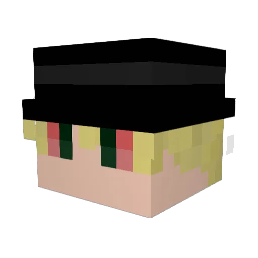 xandebracinho Minecraft avatar head, 3D render