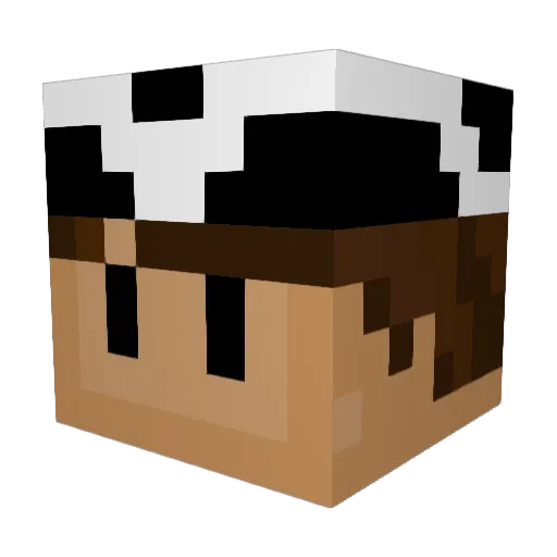 xander1972c Minecraft avatar head, 3D render