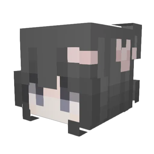 xander_stach Minecraft avatar head, 3D render