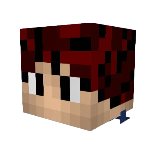 xandresilva13 Minecraft avatar head, 3D render
