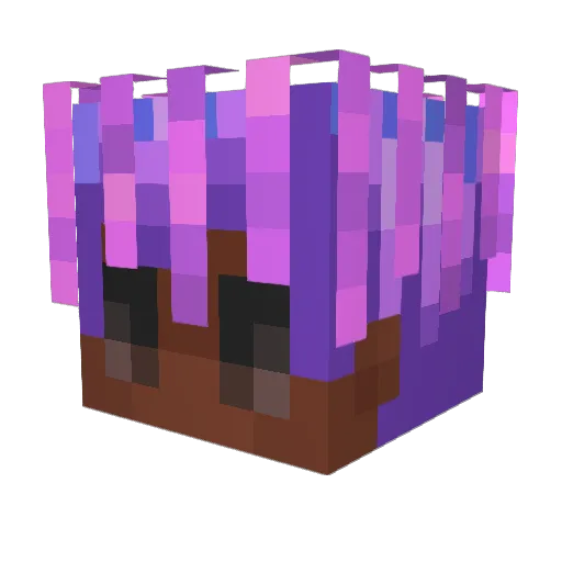 xanful Minecraft avatar head, 3D render