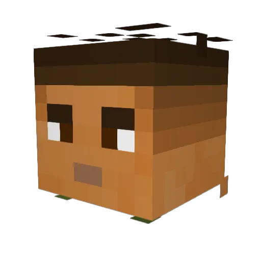 xanger_2 Minecraft avatar head, 3D render