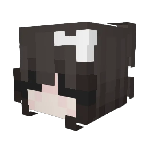 xanisita Minecraft avatar head, 3D render