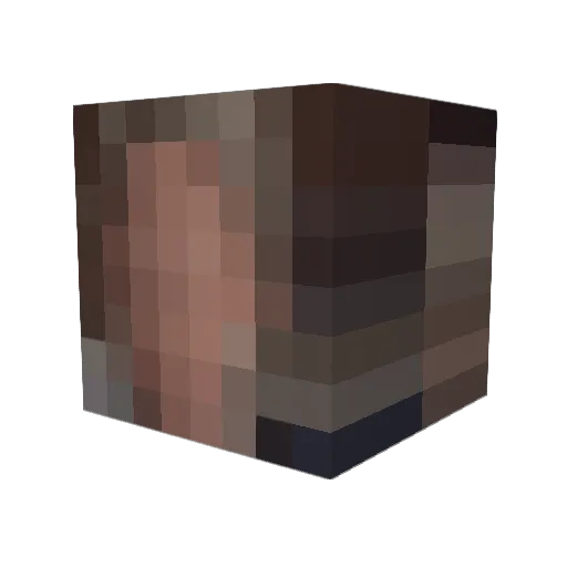 xanne1989 Minecraft avatar head, 3D render
