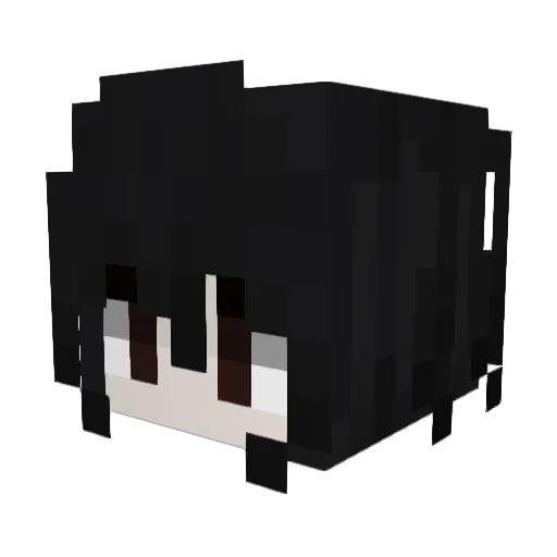 xanony7 Minecraft avatar head, 3D render
