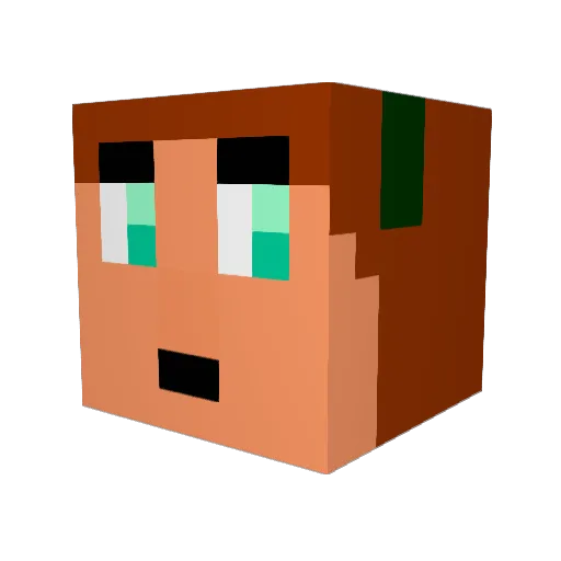 xanth456 Minecraft avatar head, 3D render