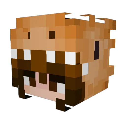 xanyex Minecraft avatar head, 3D render