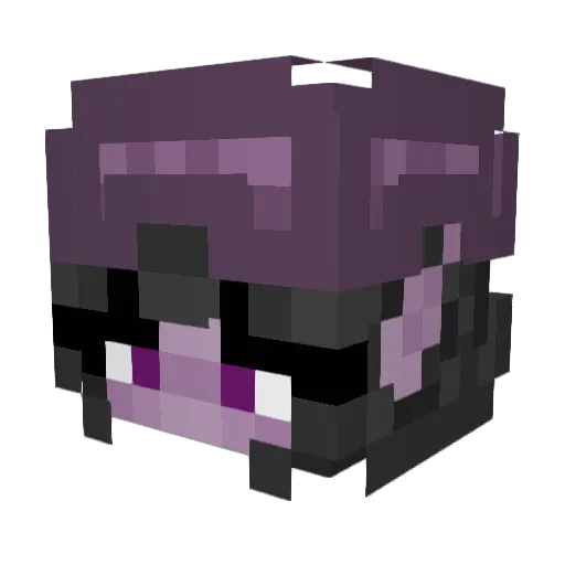 xanz211 Minecraft avatar head, 3D render