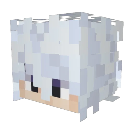 xarkaynex Minecraft avatar head, 3D render