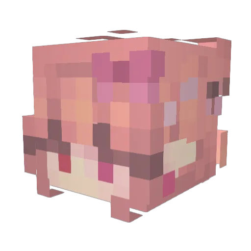 xatus14 Minecraft avatar head, 3D render