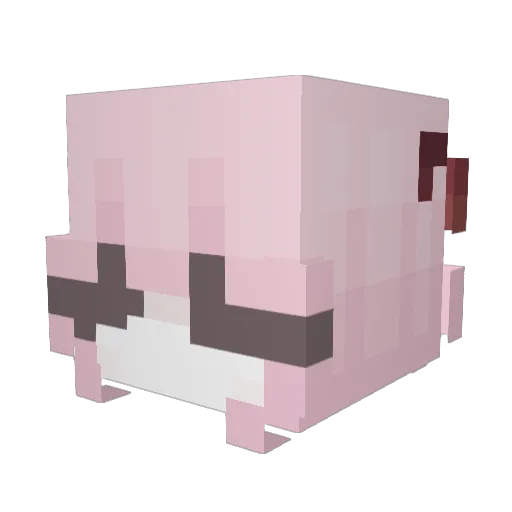xaump Minecraft avatar head, 3D render