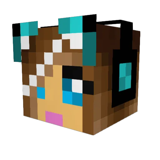 xavier_pr84 Minecraft avatar head, 3D render