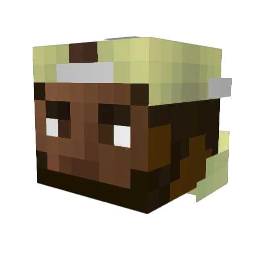xaviernscott Minecraft avatar head, 3D render