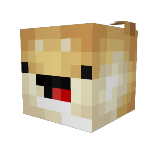 xaxaxaxaa Minecraft avatar head, 3D render