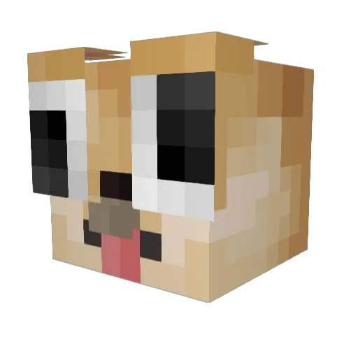 xazinho Minecraft avatar head, 3D render