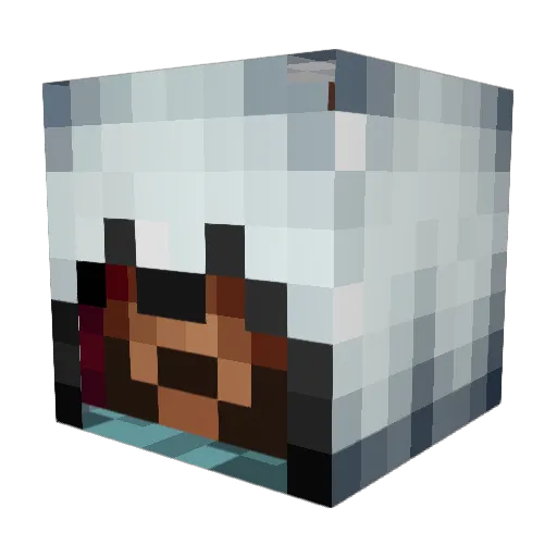 xb0xadd1ct Minecraft avatar head, 3D render