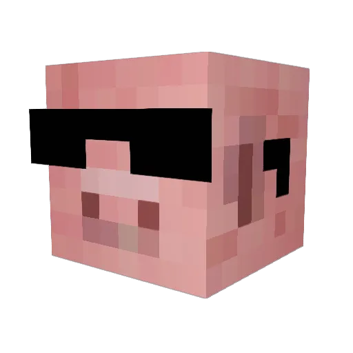 xb0xgamer Minecraft avatar head, 3D render