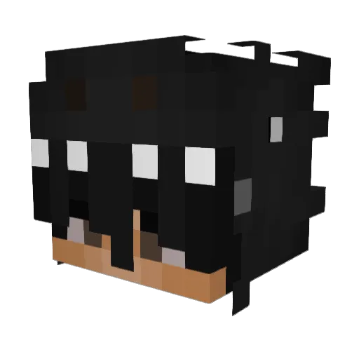 xb6h Minecraft avatar head, 3D render