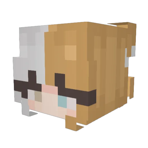 xbadly Minecraft avatar head, 3D render