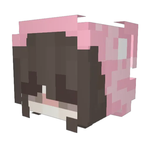 xbella420 Minecraft avatar head, 3D render